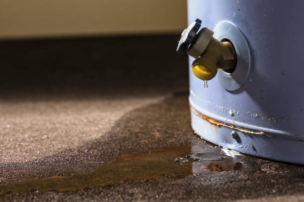Best Water damage restoration near me  in Brockton, MA
