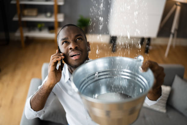 Best 24-hour water damage restoration  in Brockton, MA