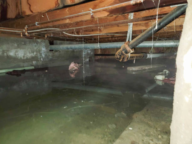 Best Commercial water damage restoration  in Brockton, MA
