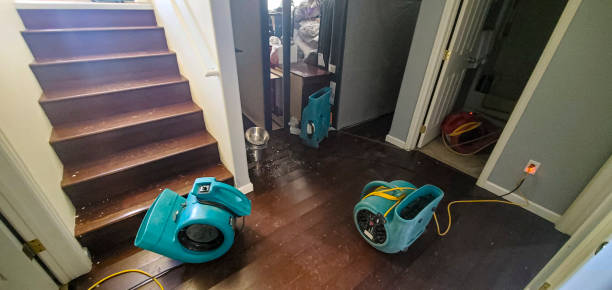 Best Mold removal after water damage  in Brockton, MA