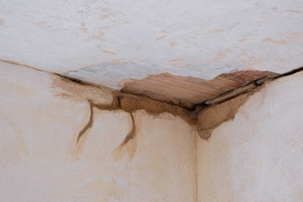 Best Flooded house restoration  in Brockton, MA