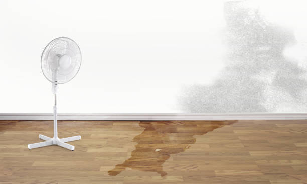 Best Flood damage cleanup  in Brockton, MA