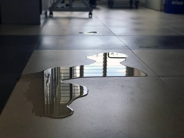 Best Water damage restoration specialists  in Brockton, MA