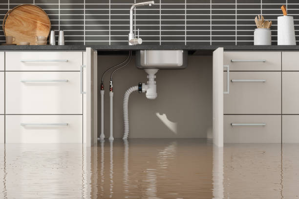 Best Water damage contractors near me  in Brockton, MA