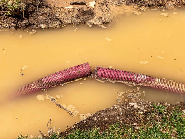 Best Professional water damage repair  in Brockton, MA